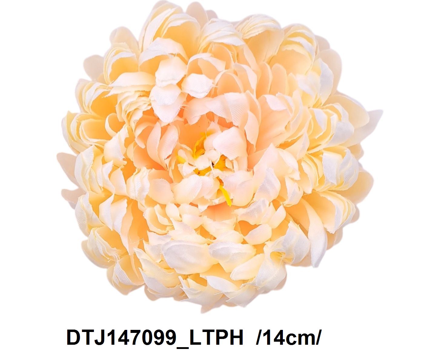 DTJ147099_LTPH