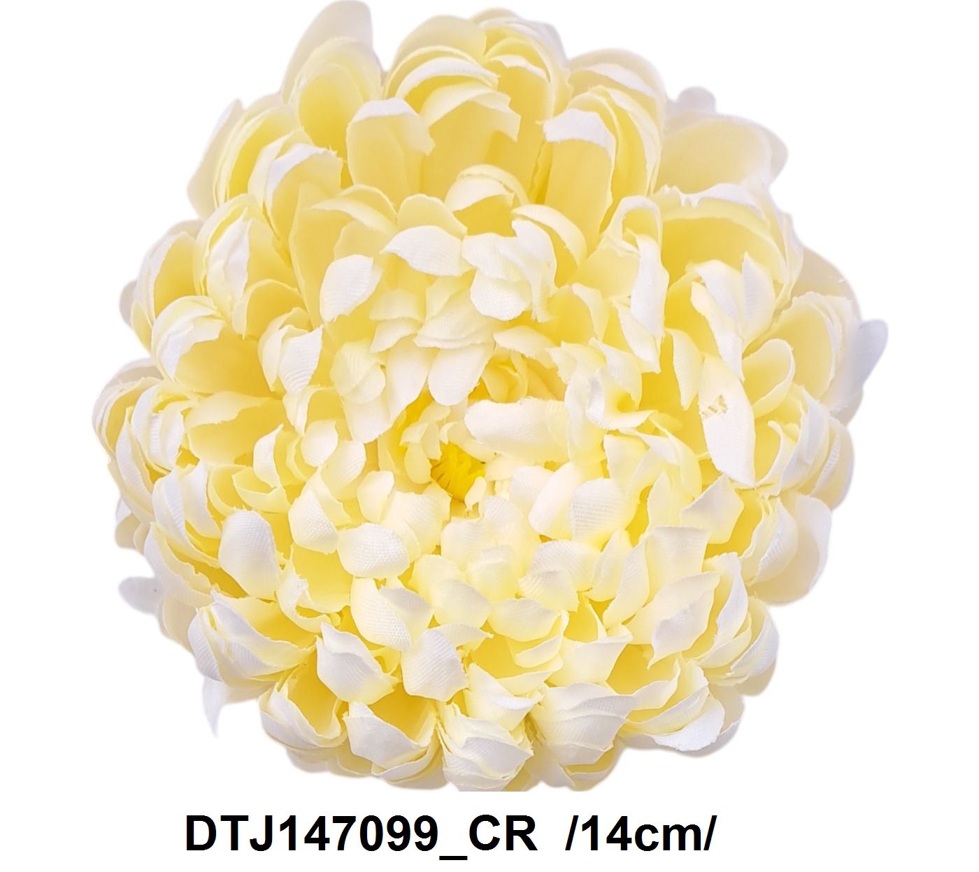 DTJ147099_CR