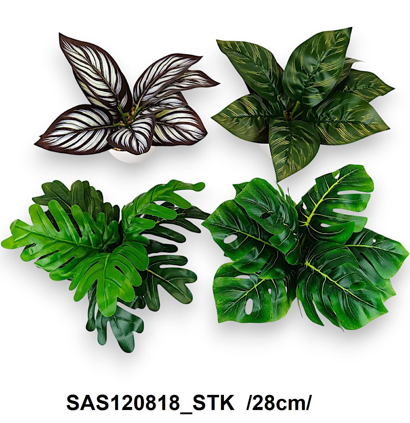 SAS120818_STK