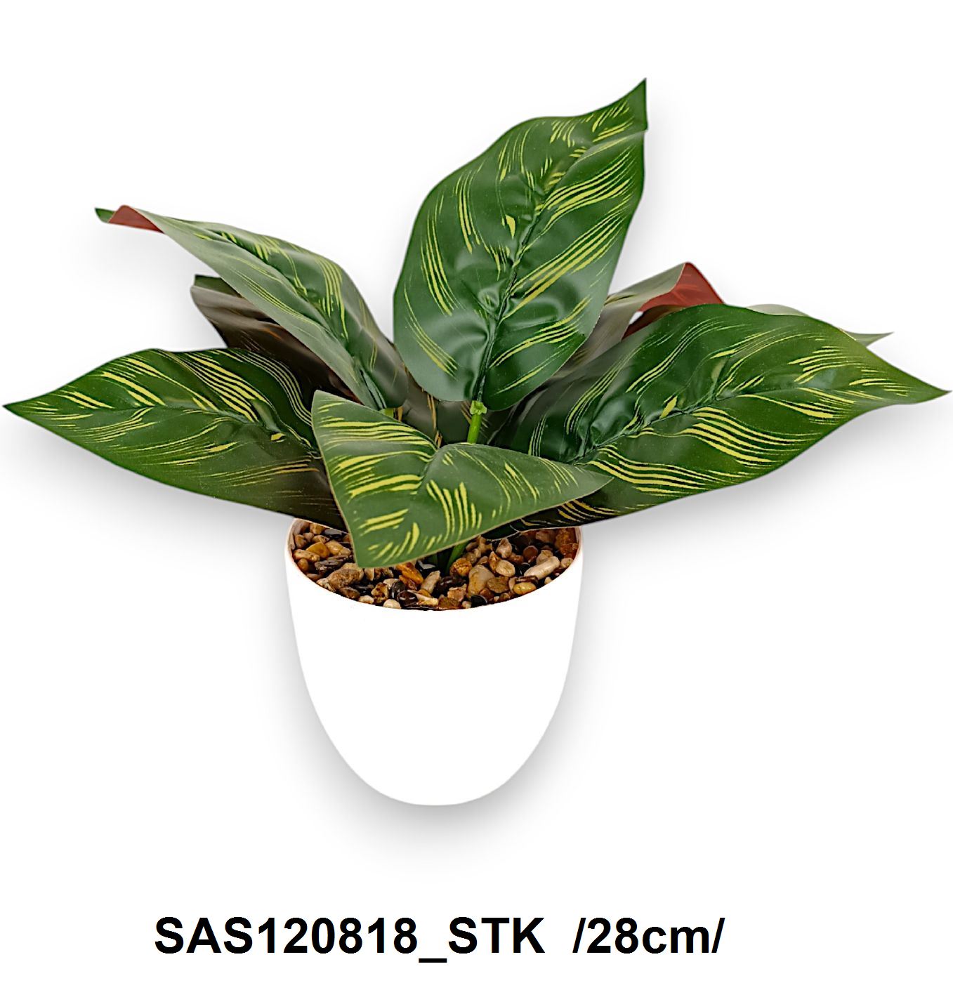 SAS120818_STK