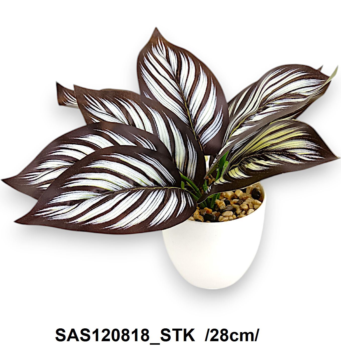 SAS120818_STK