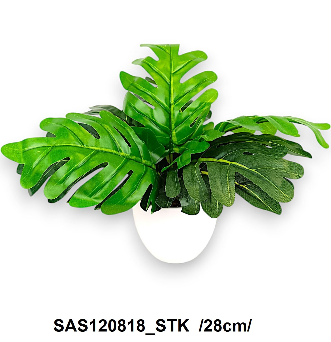 SAS120818_STK