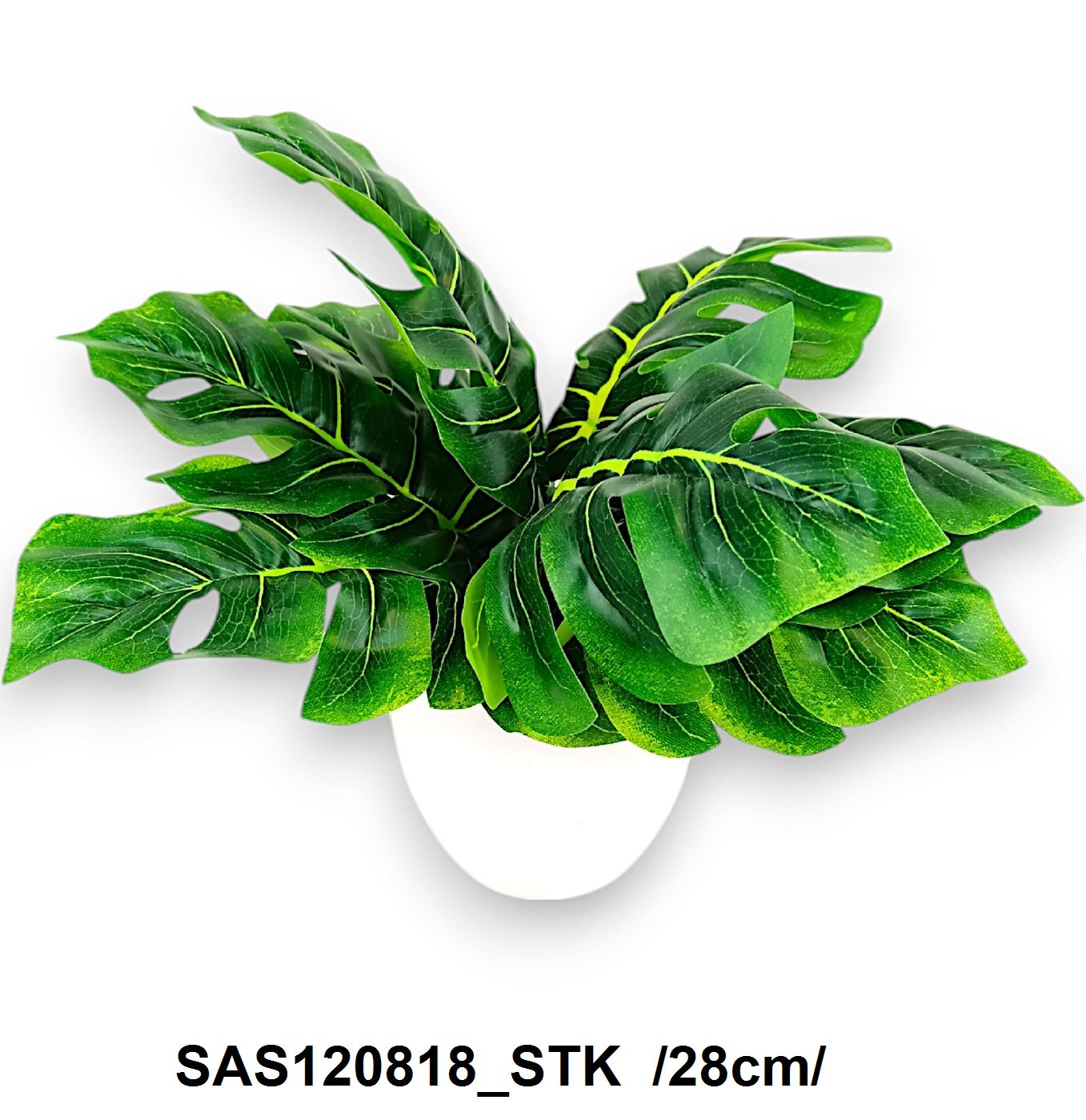 SAS120818_STK