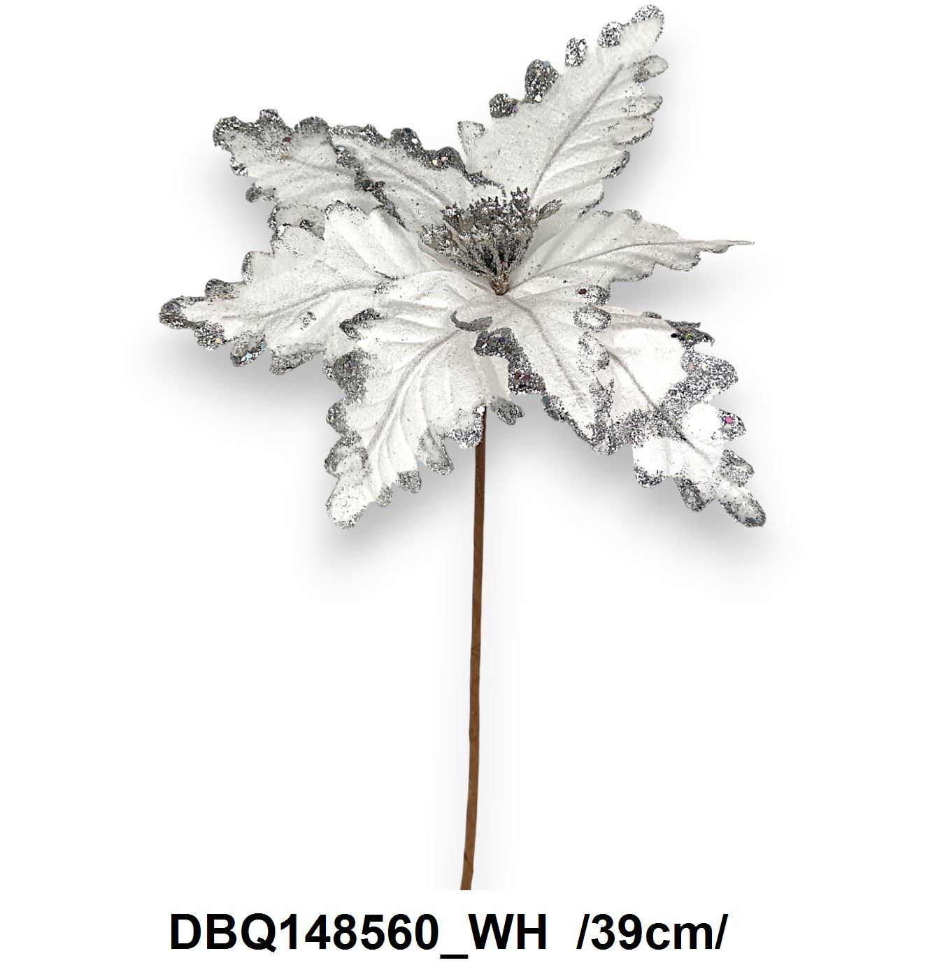 DBQ148560_WH