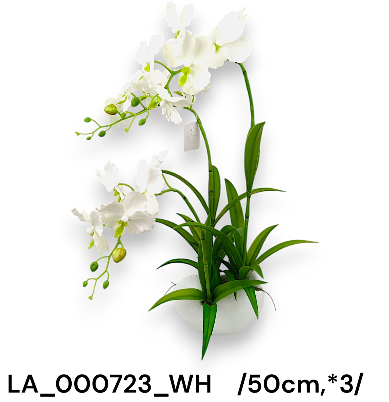 LA_000723_WH
