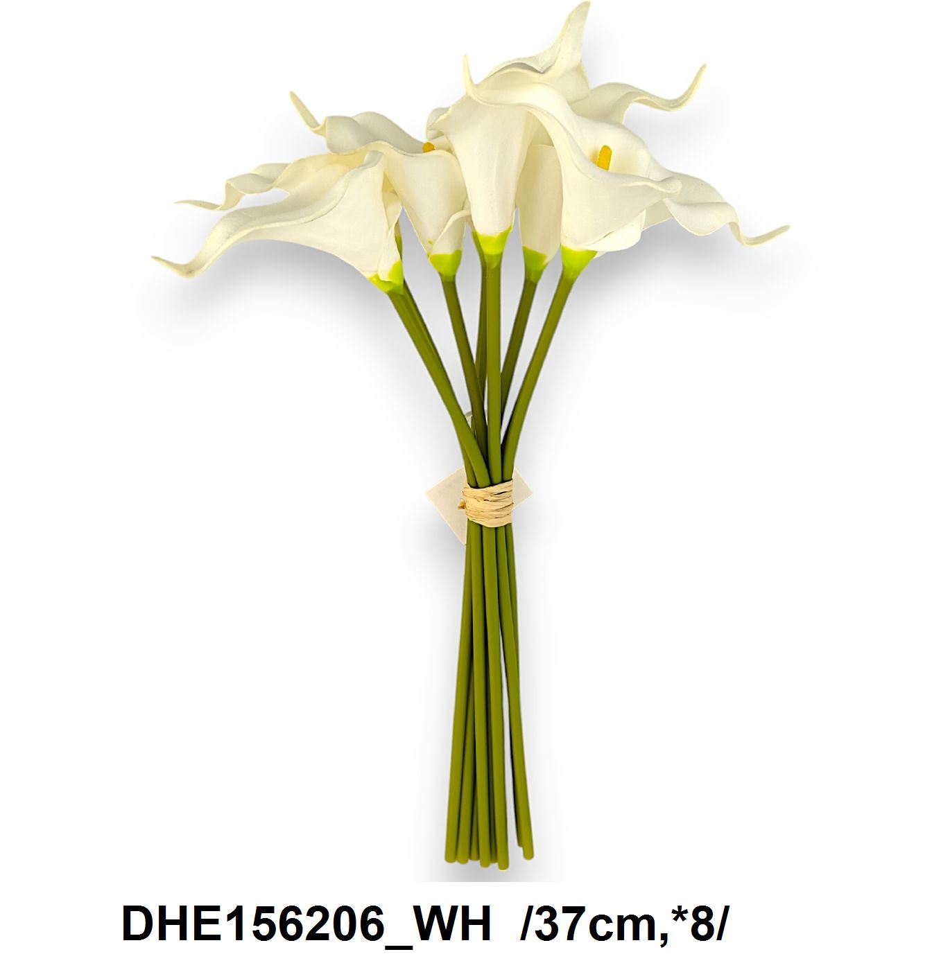 DHE156206_WH