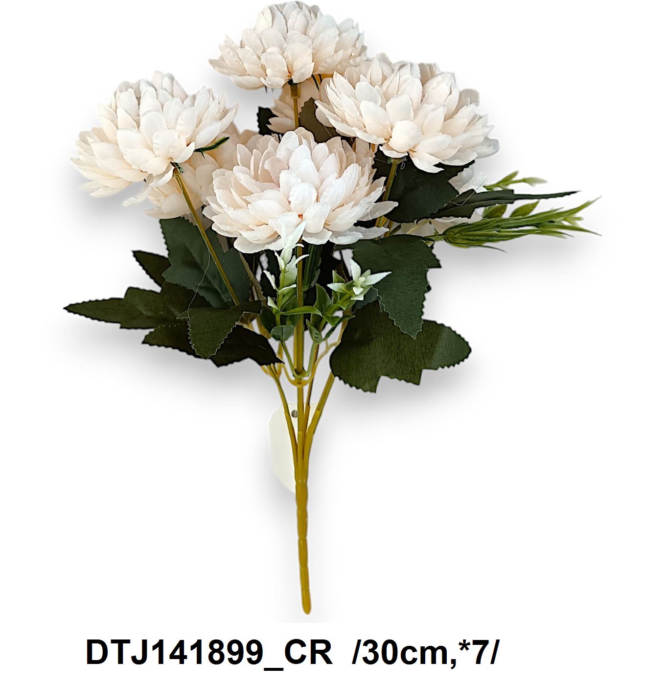 DTJ141899_CR