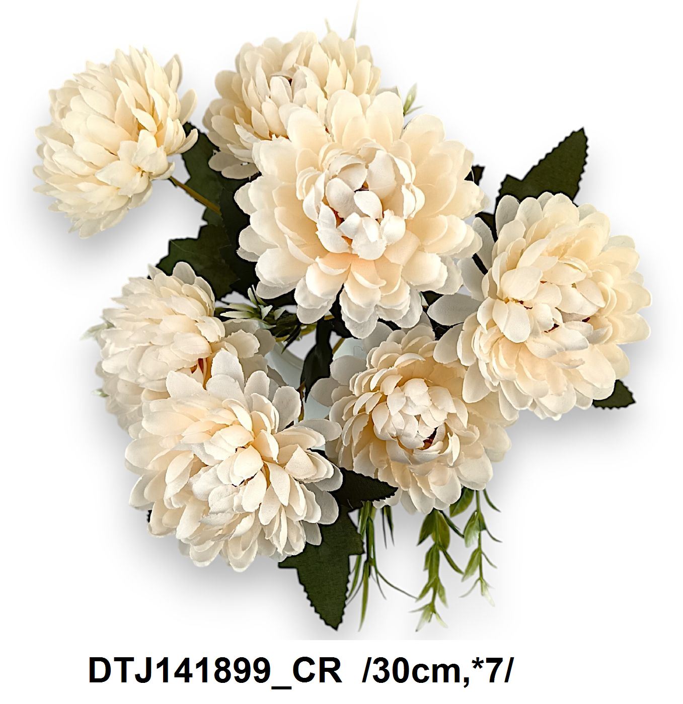 DTJ141899_CR