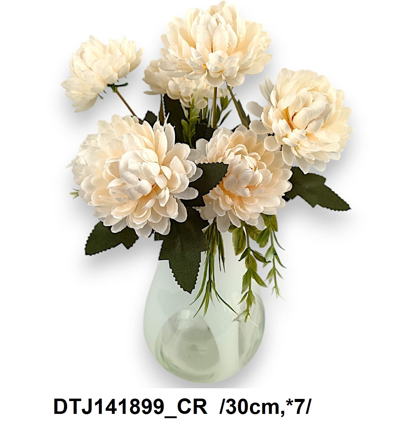 DTJ141899_CR