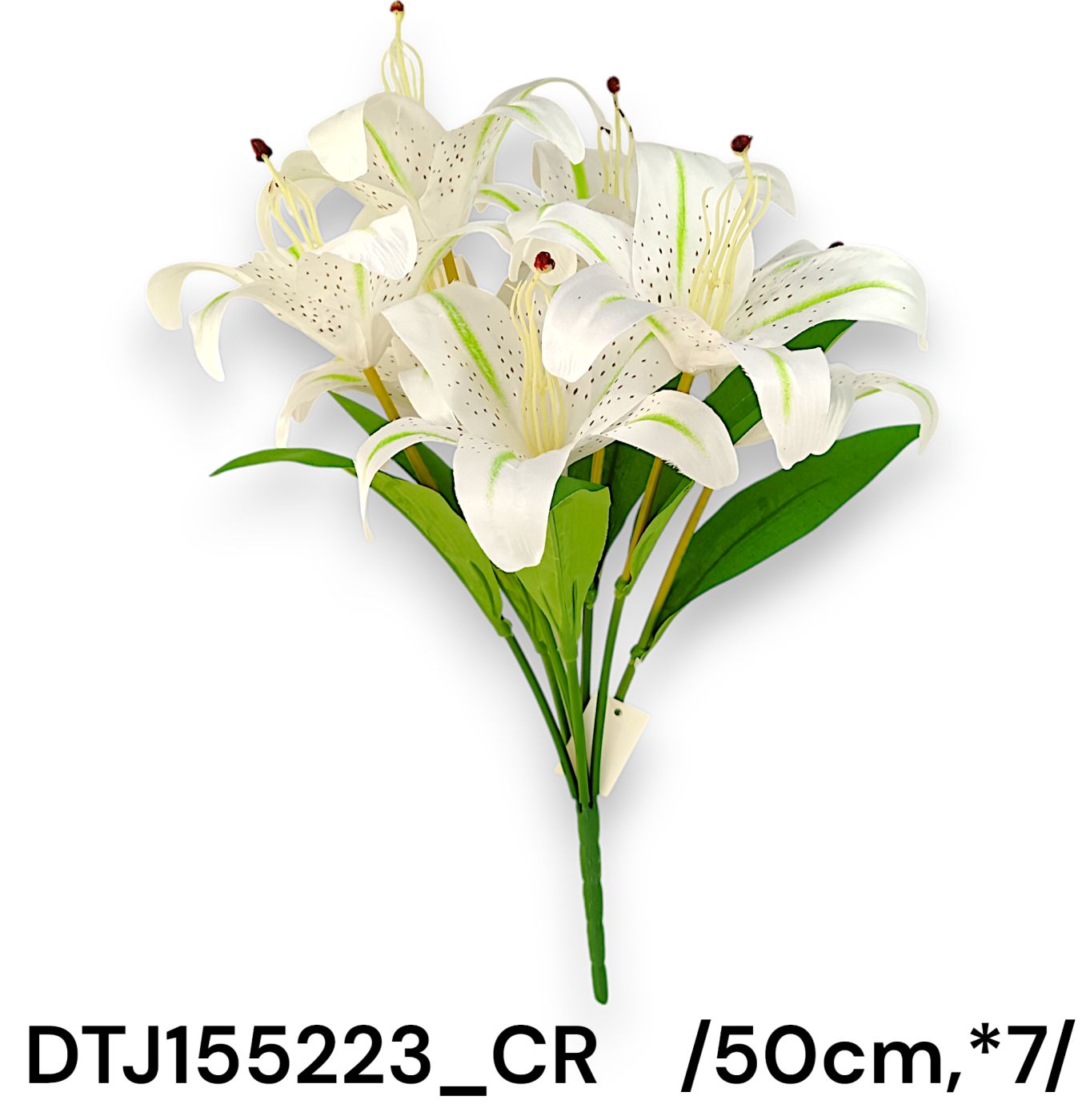 DTJ155223_CR