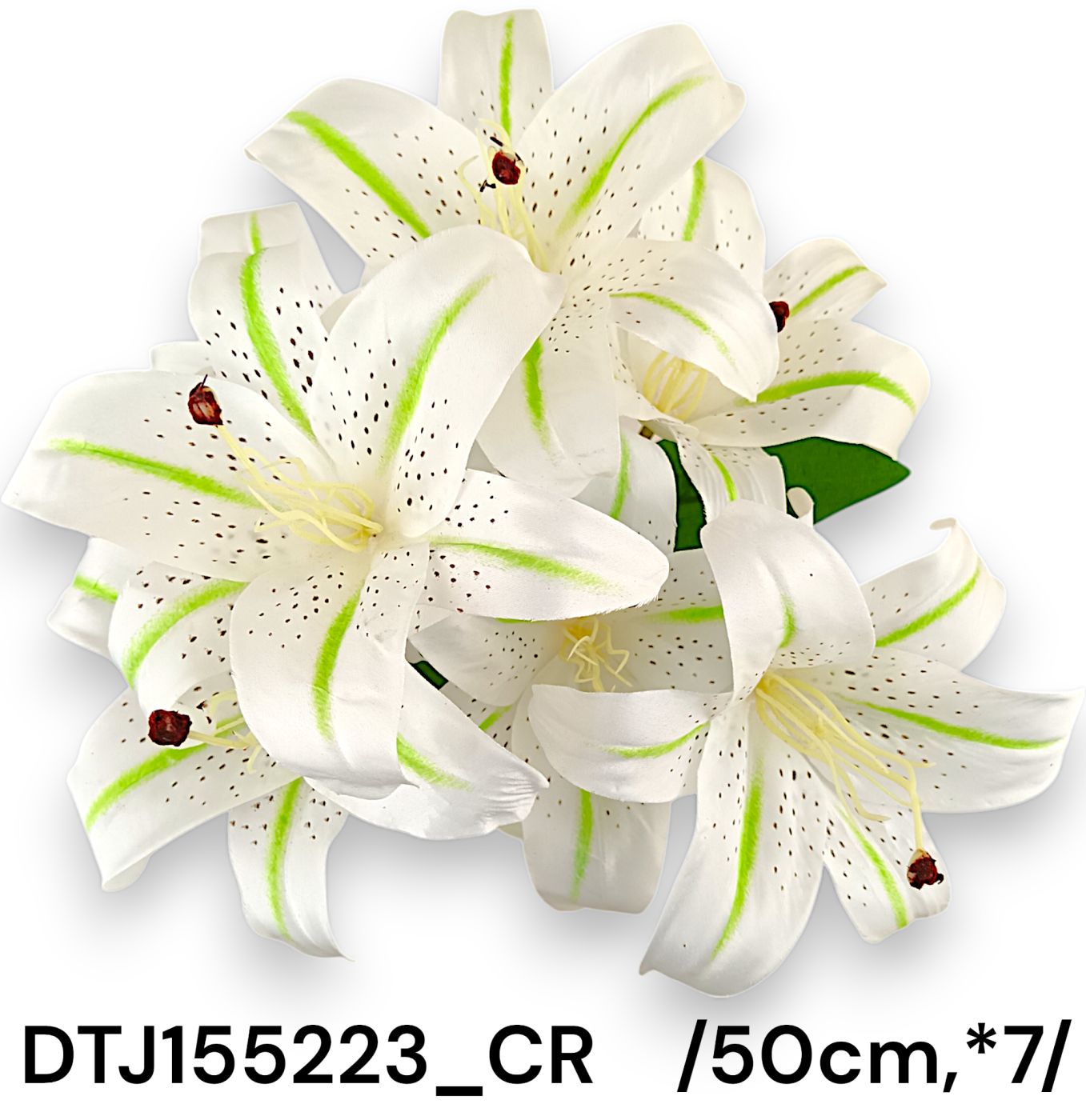 DTJ155223_CR