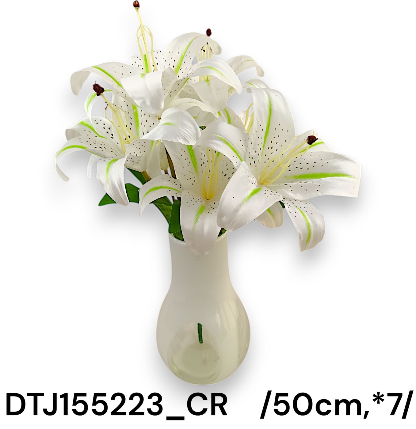 DTJ155223_CR