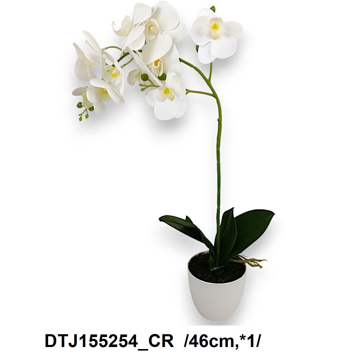 DTJ155254_CR