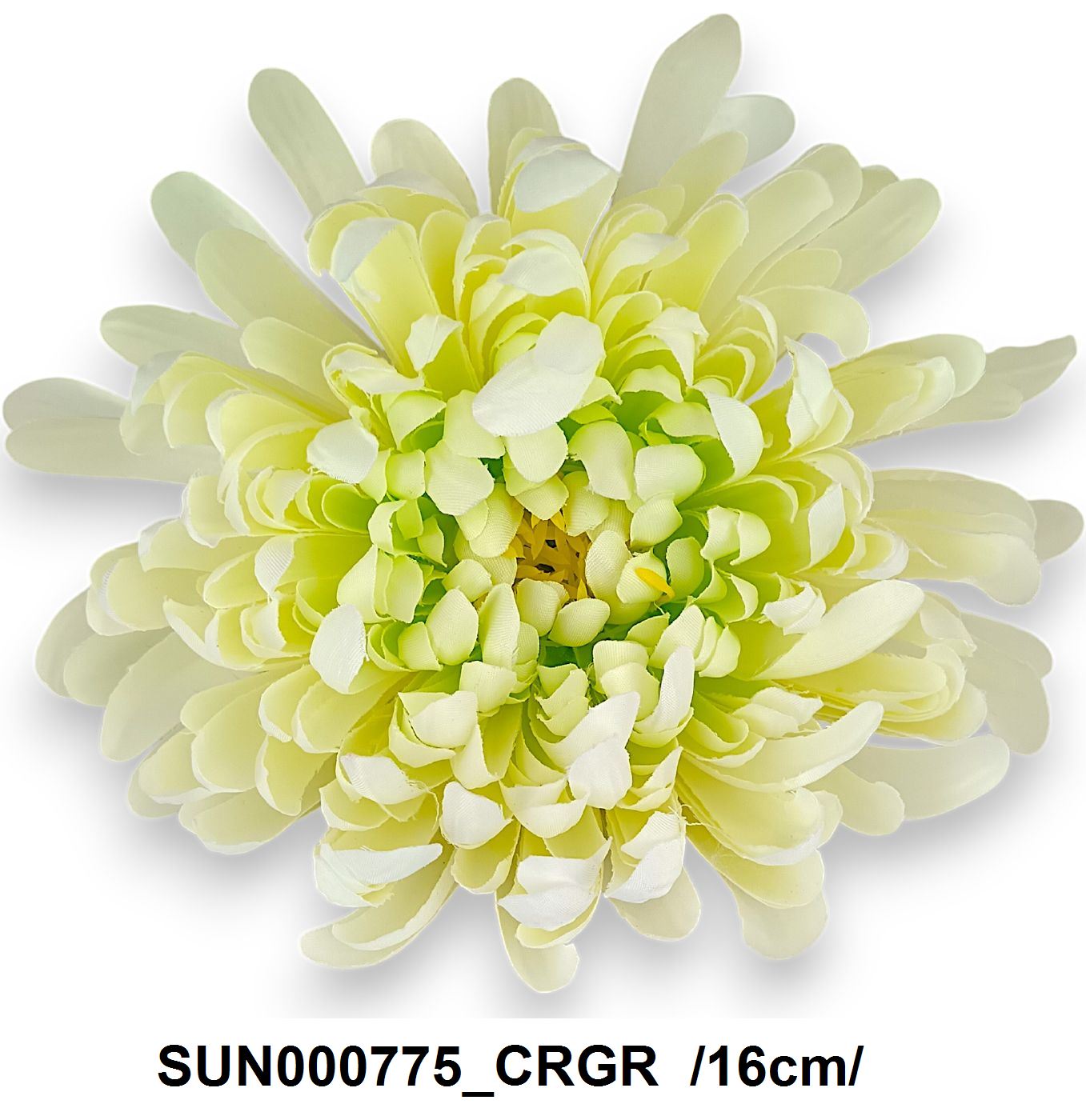 SUN000775_CRGR
