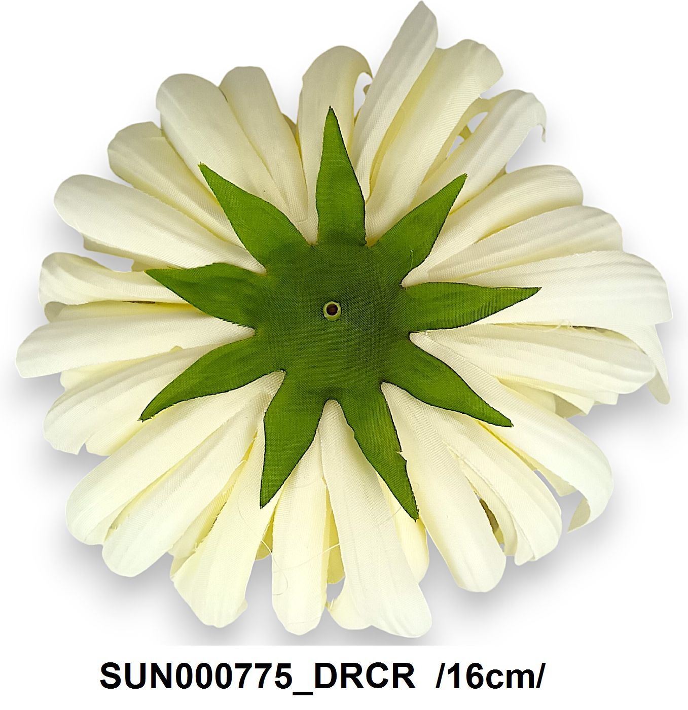 SUN000775_DRCR