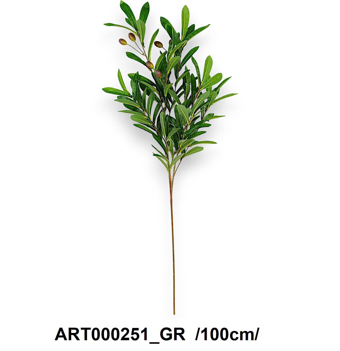 ART000251_GR