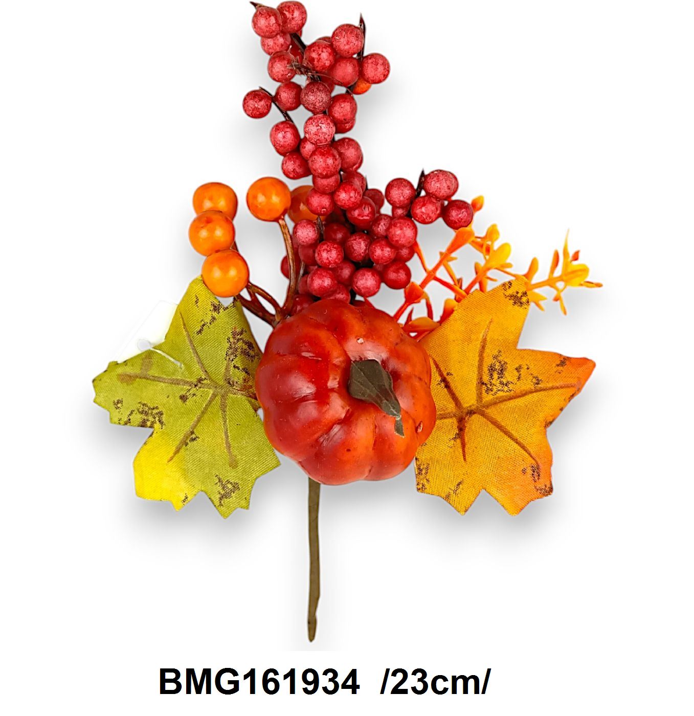 BMG161934