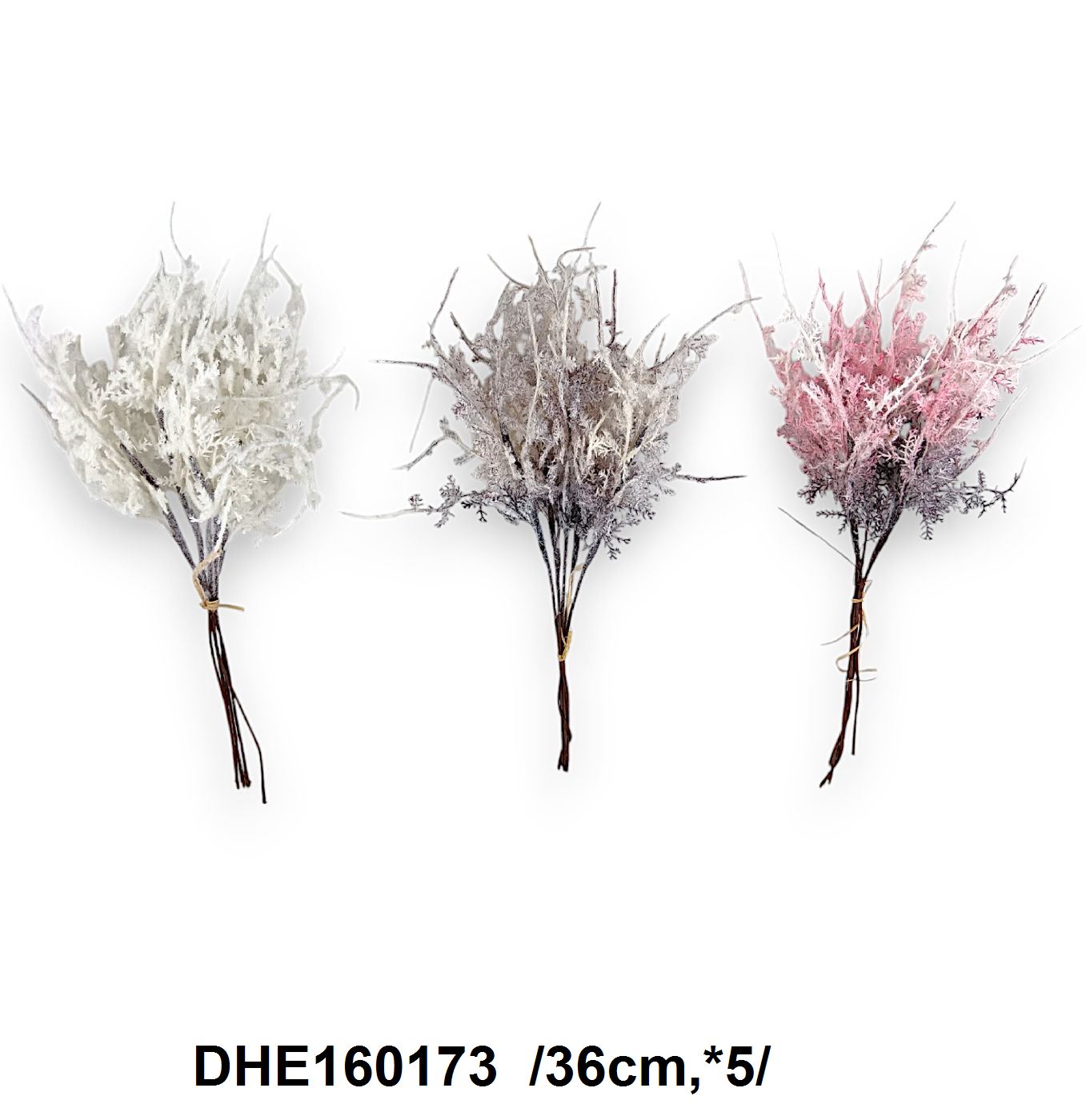 DHE160173
