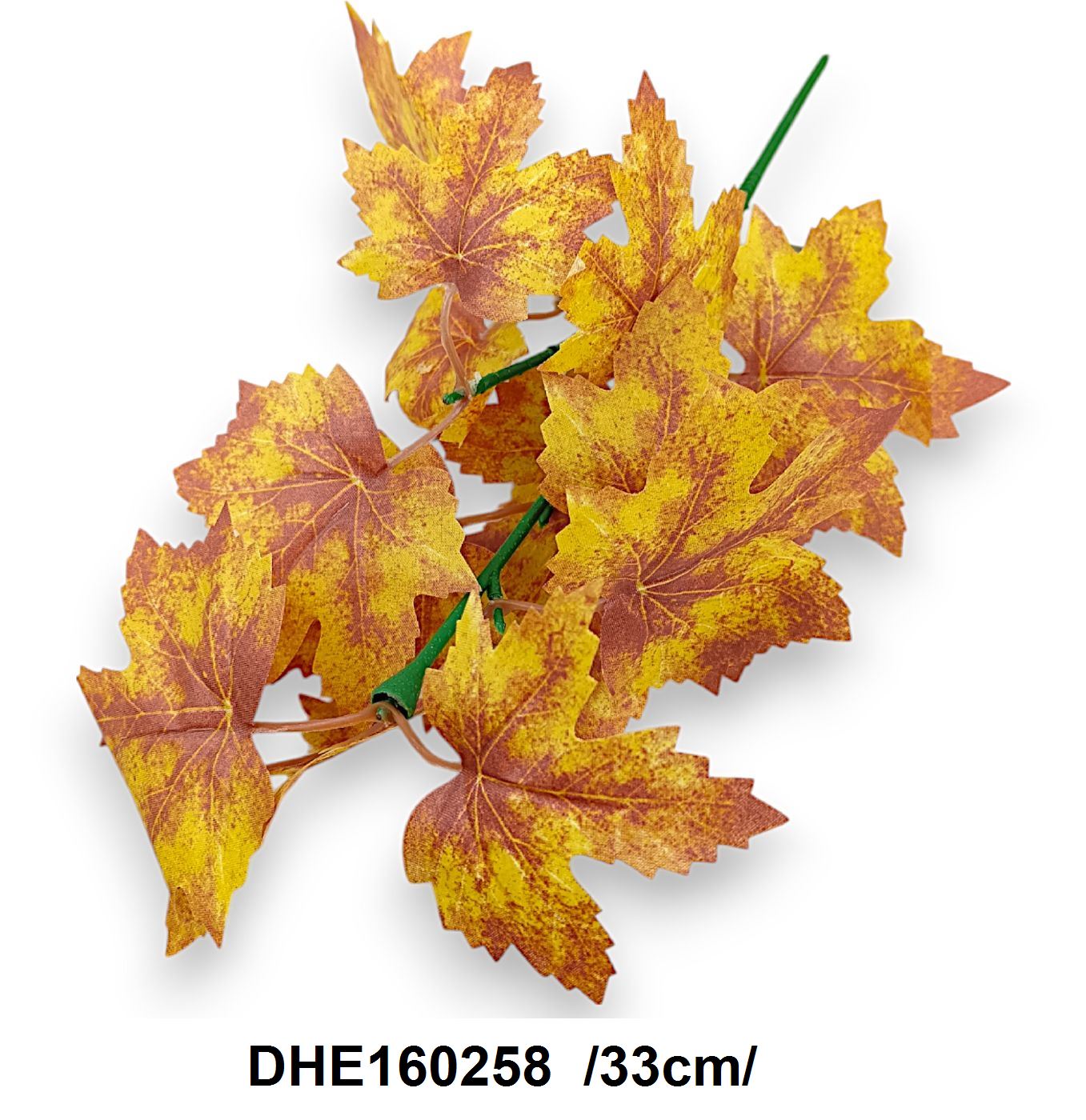 DHE160258