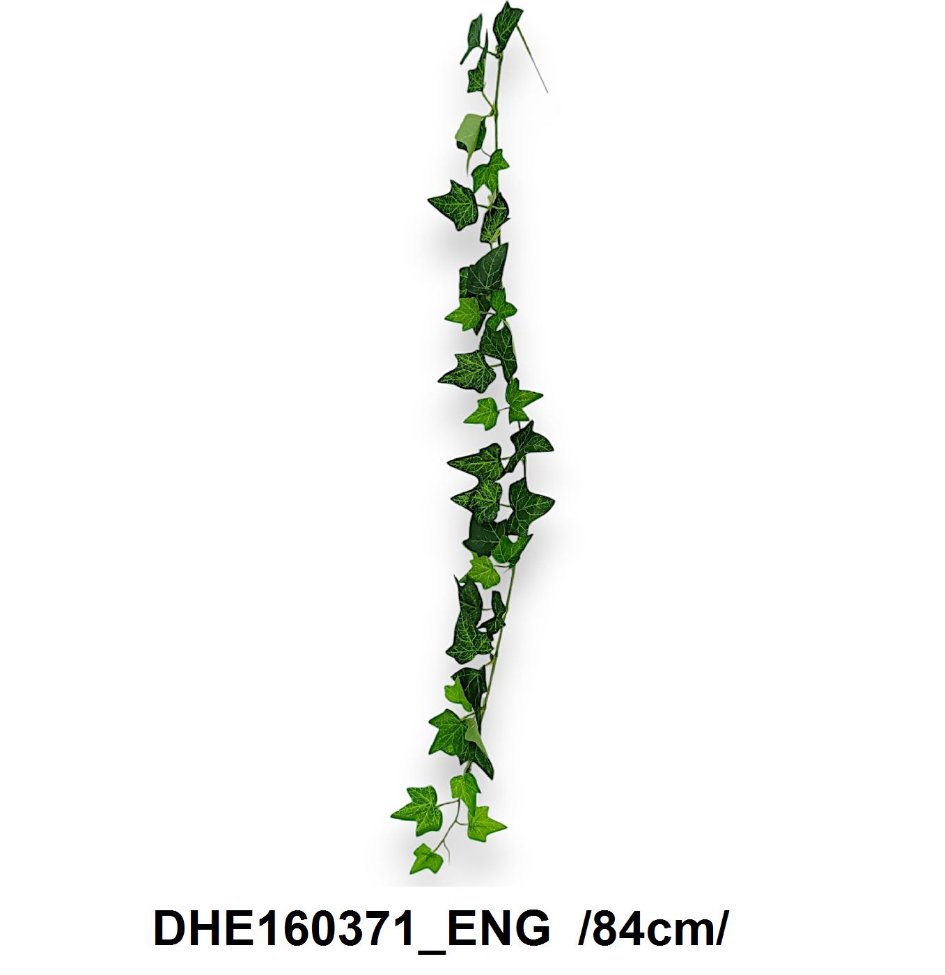 DHE160371_ENG