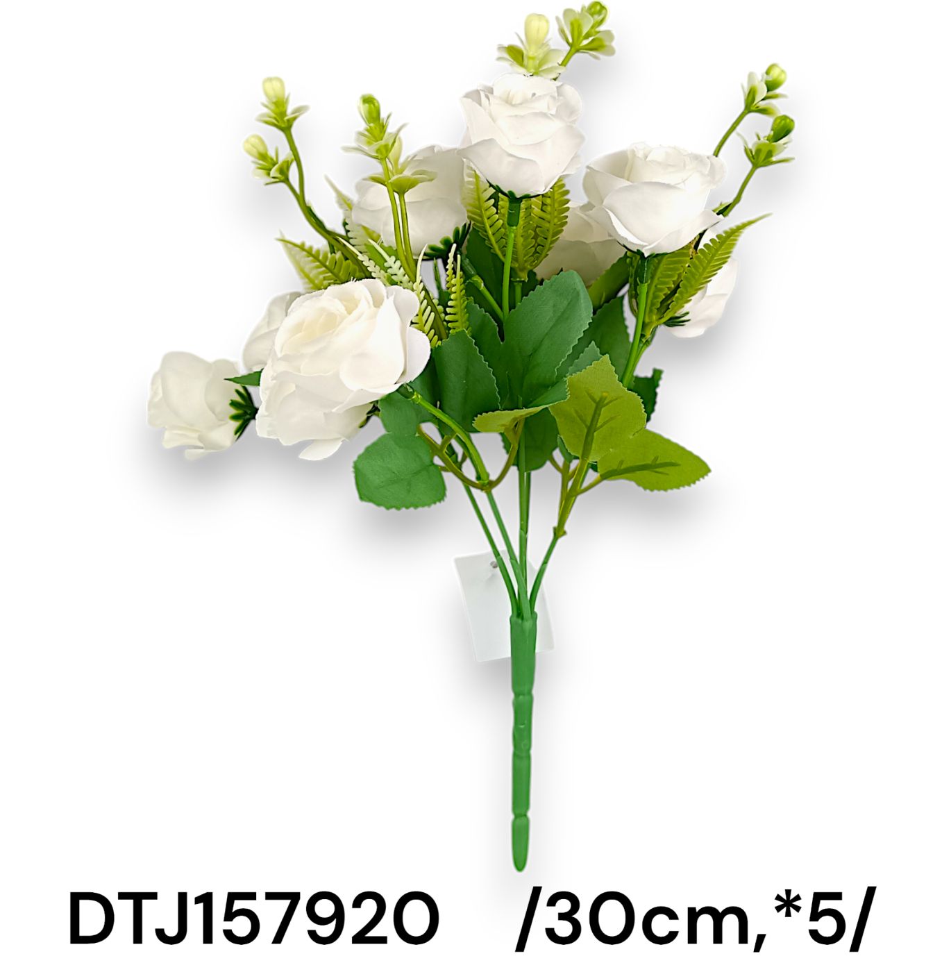 DTJ157920