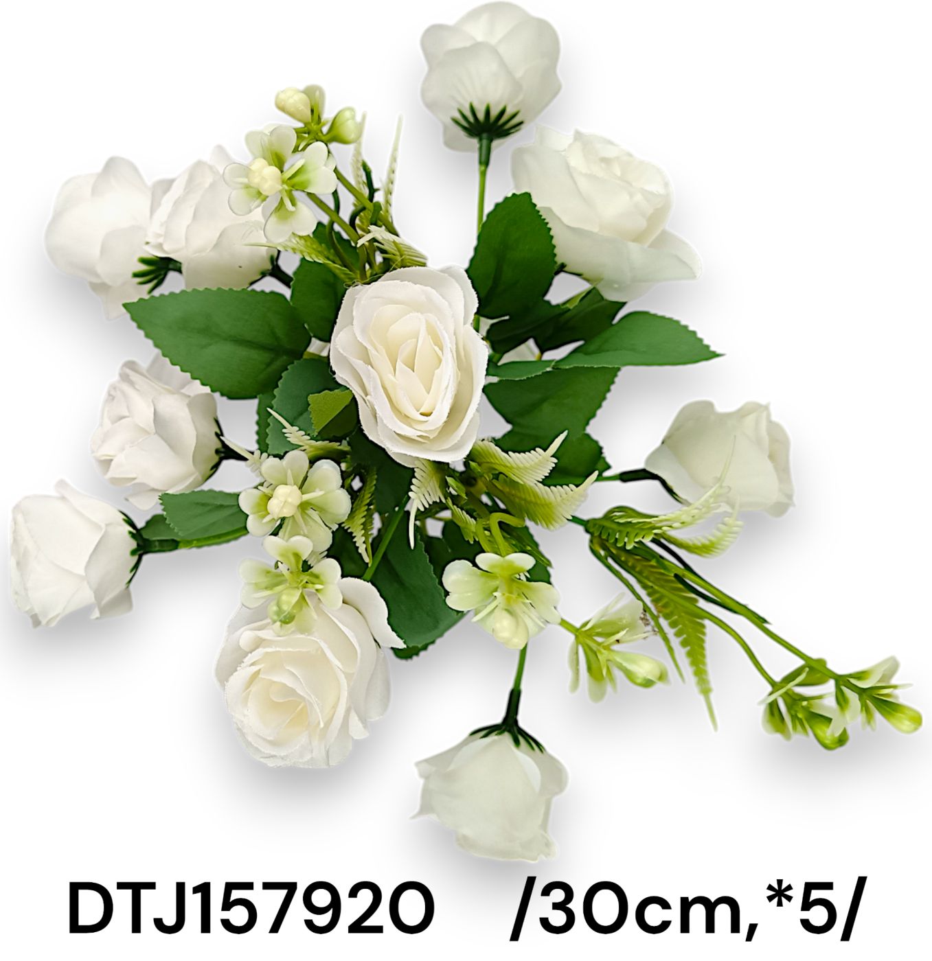 DTJ157920