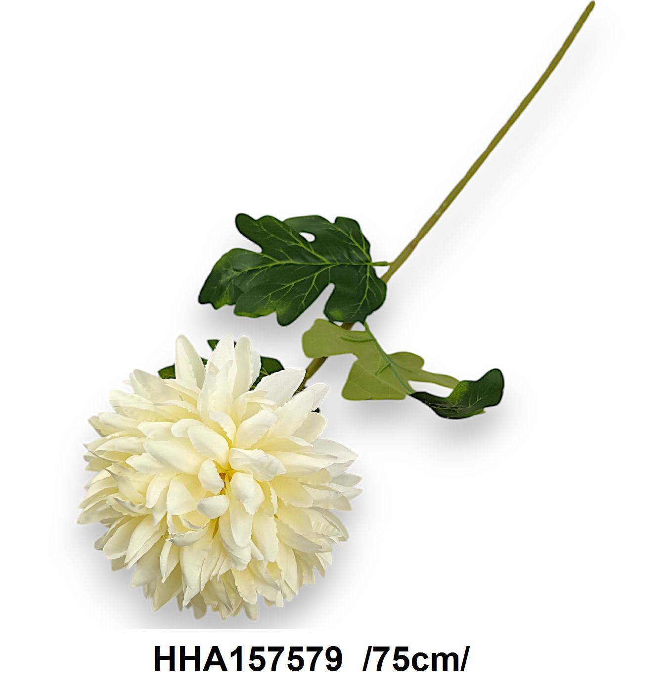 HHA157579