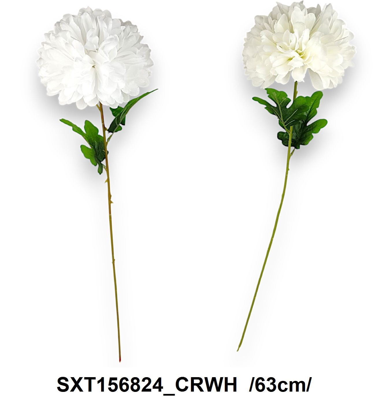 SXT156824_CRWH