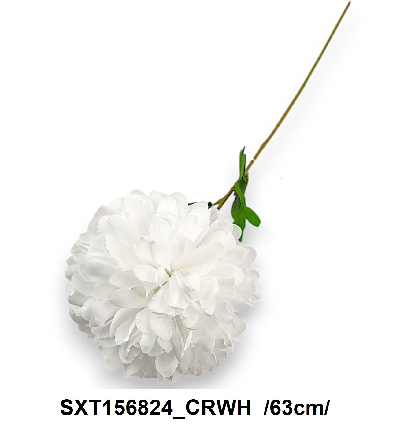 SXT156824_CRWH
