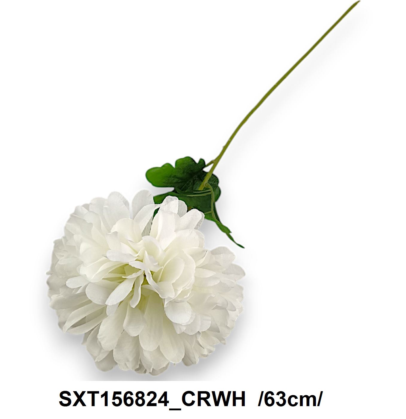 SXT156824_CRWH