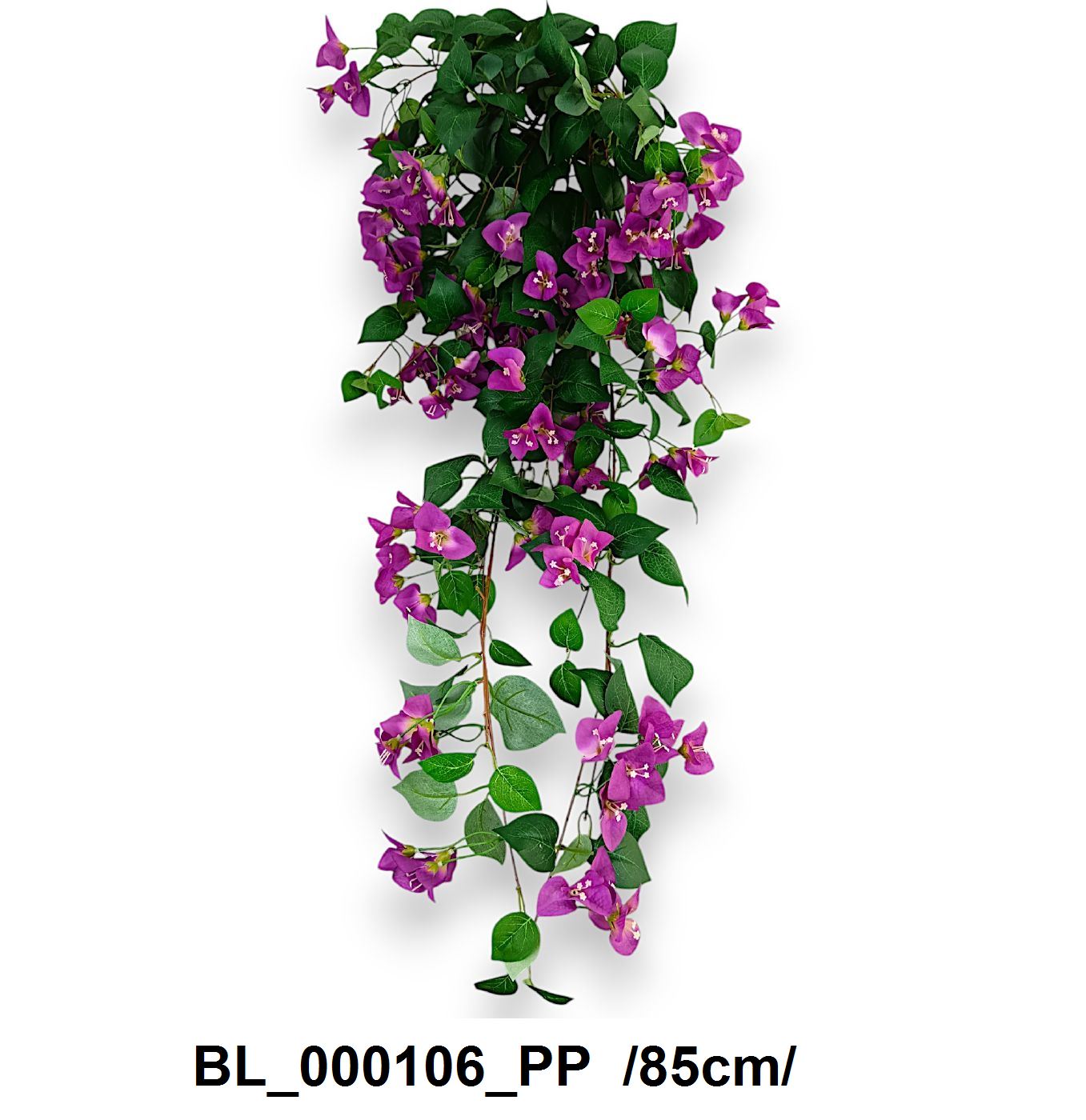 BL_000106_PP