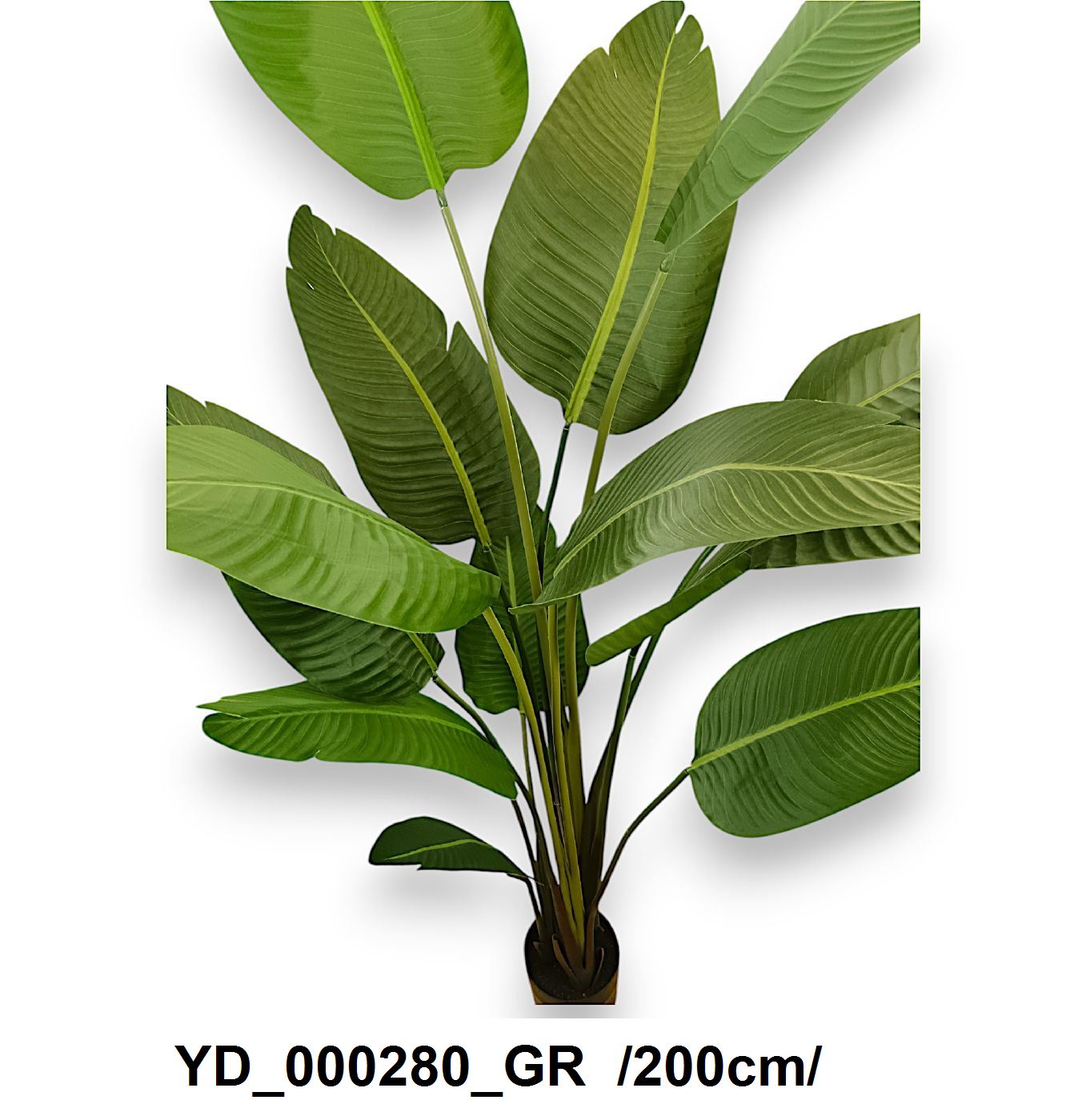 YD_000280_GR