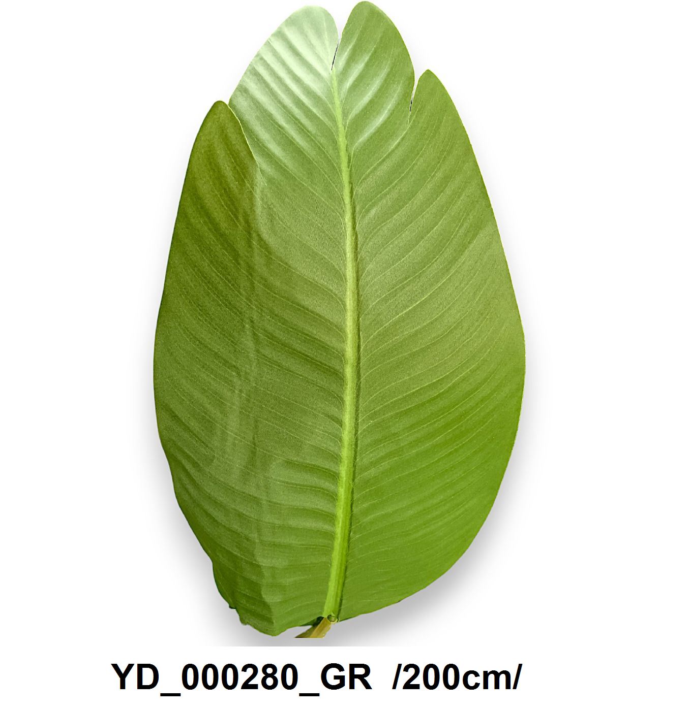 YD_000280_GR