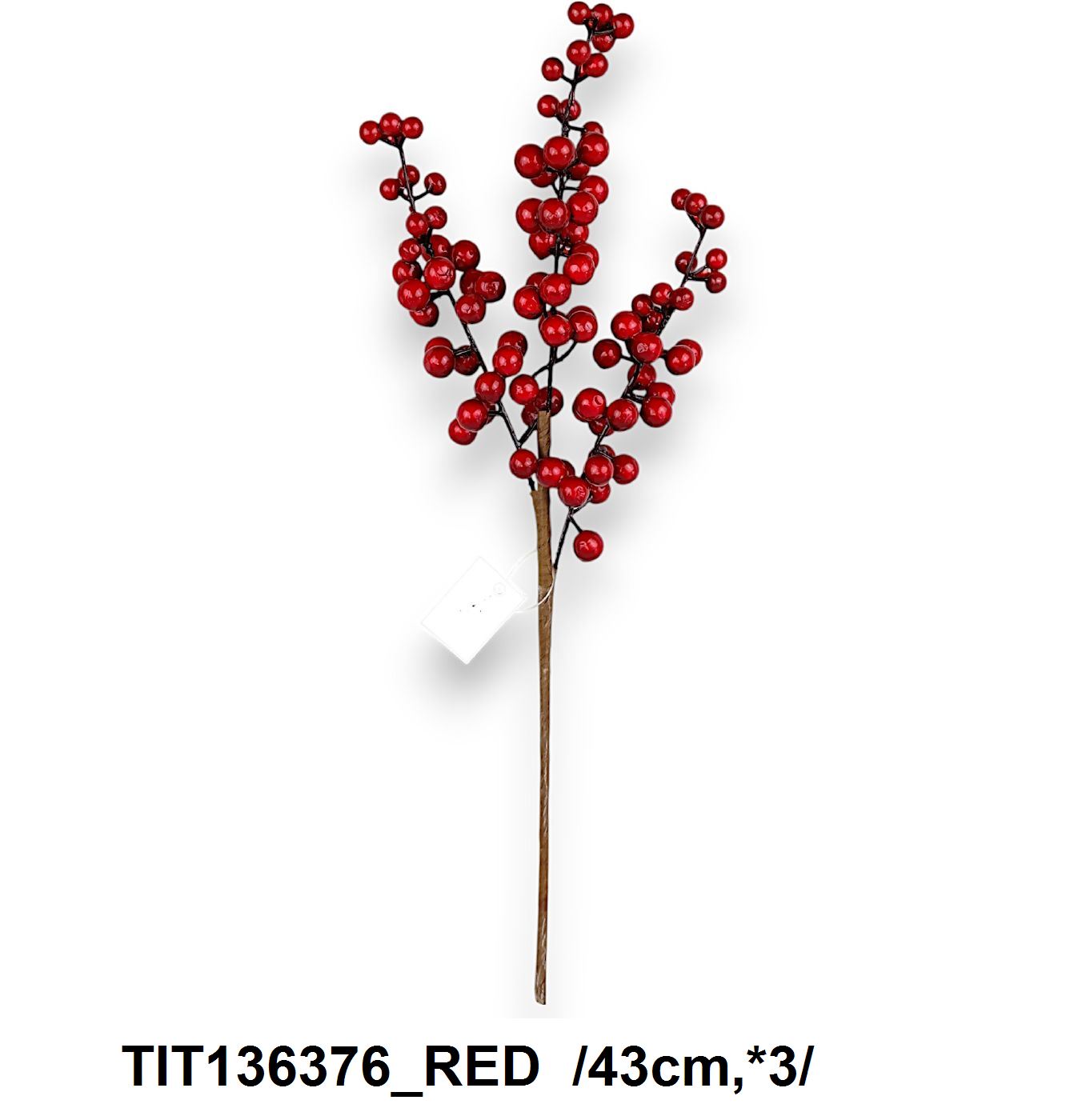 TIT136376_RED