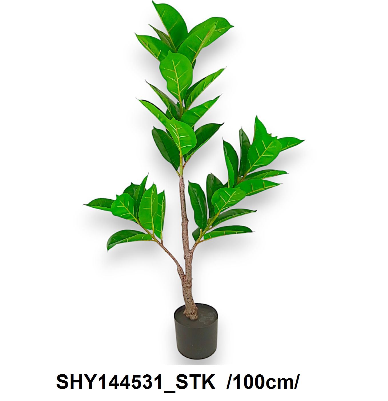 SHY144531_STK