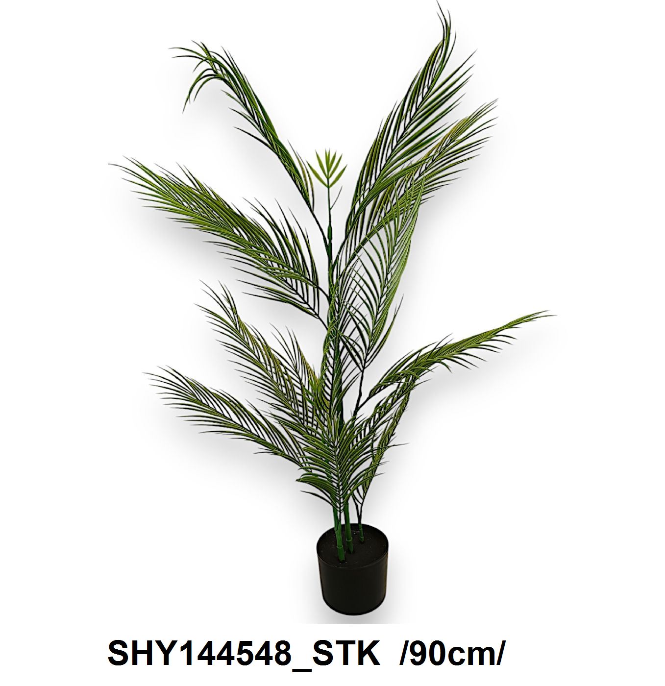 SHY144548_STK