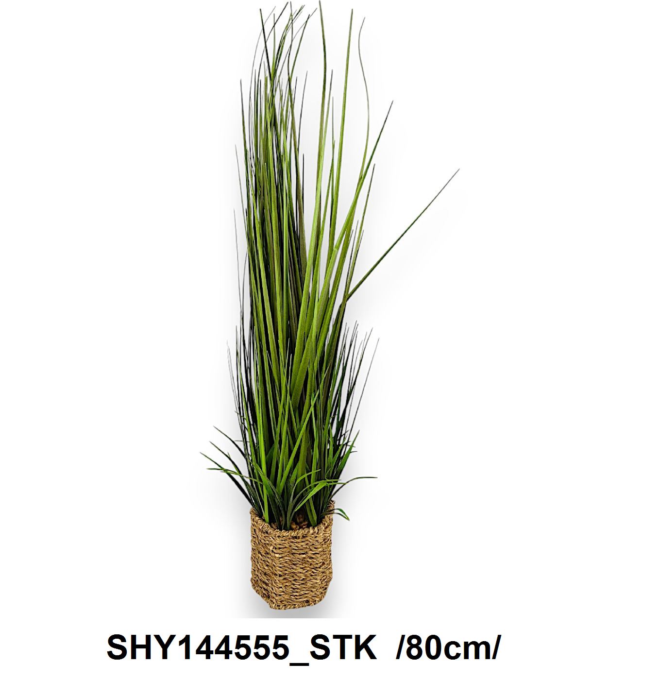 SHY144555_STK