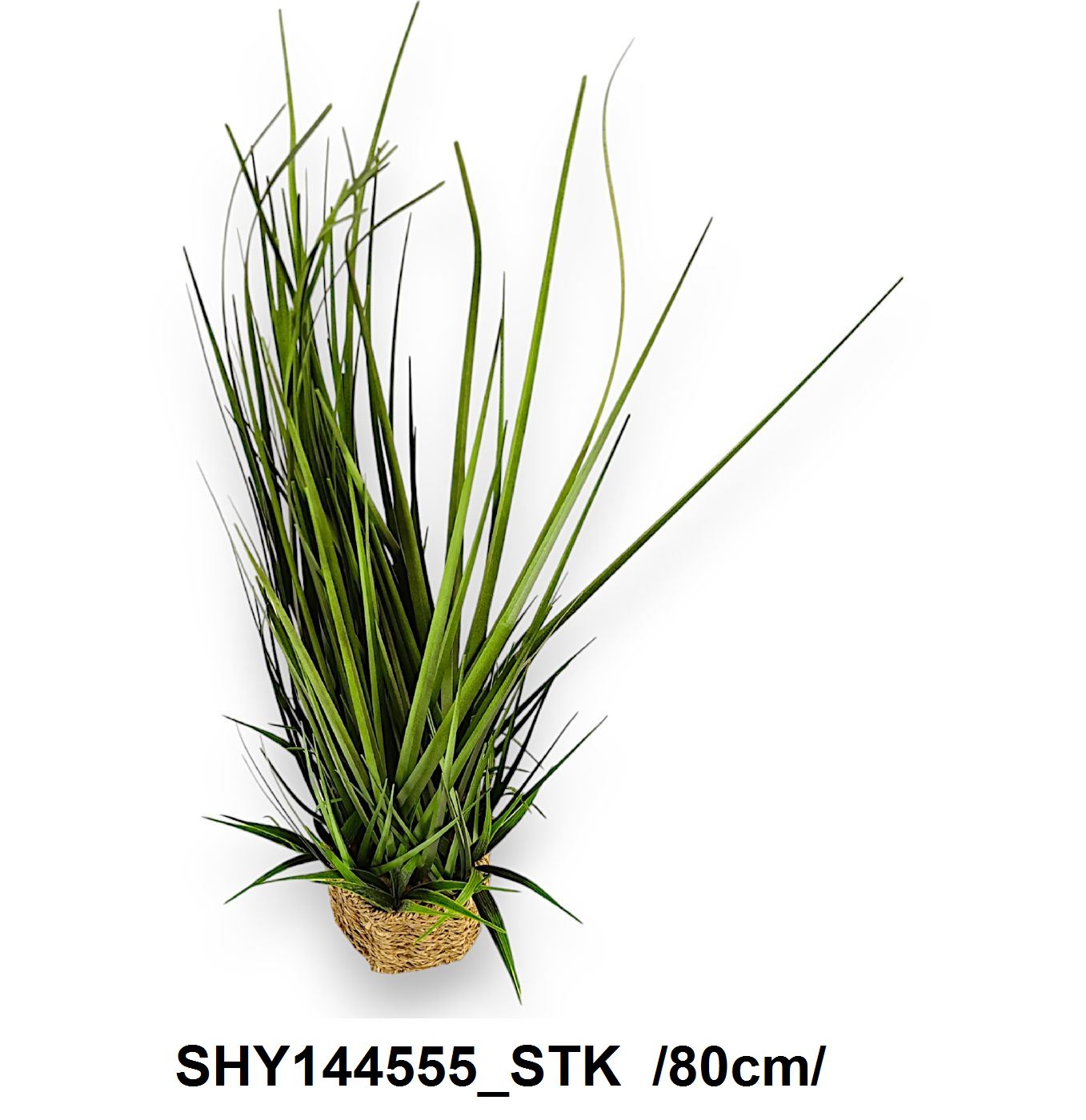 SHY144555_STK