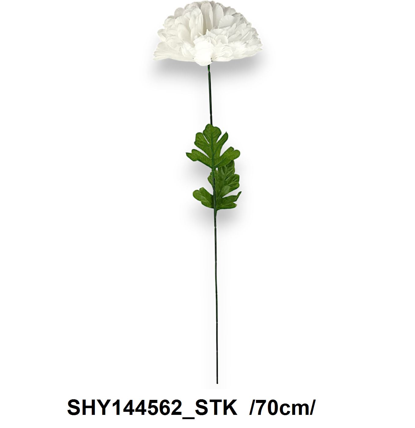 SHY144562_STK
