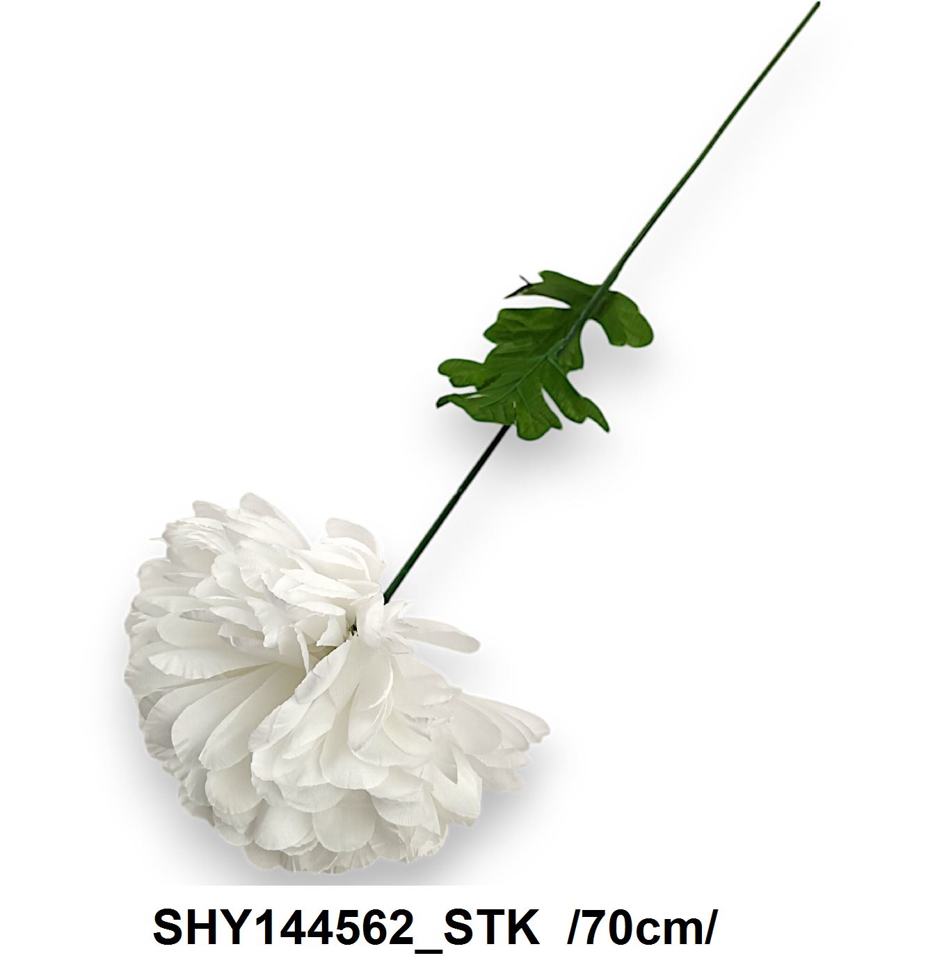 SHY144562_STK