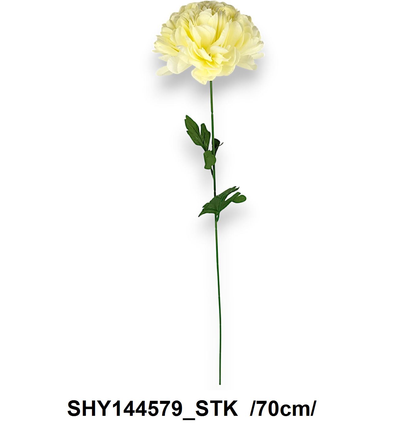 SHY144579_STK