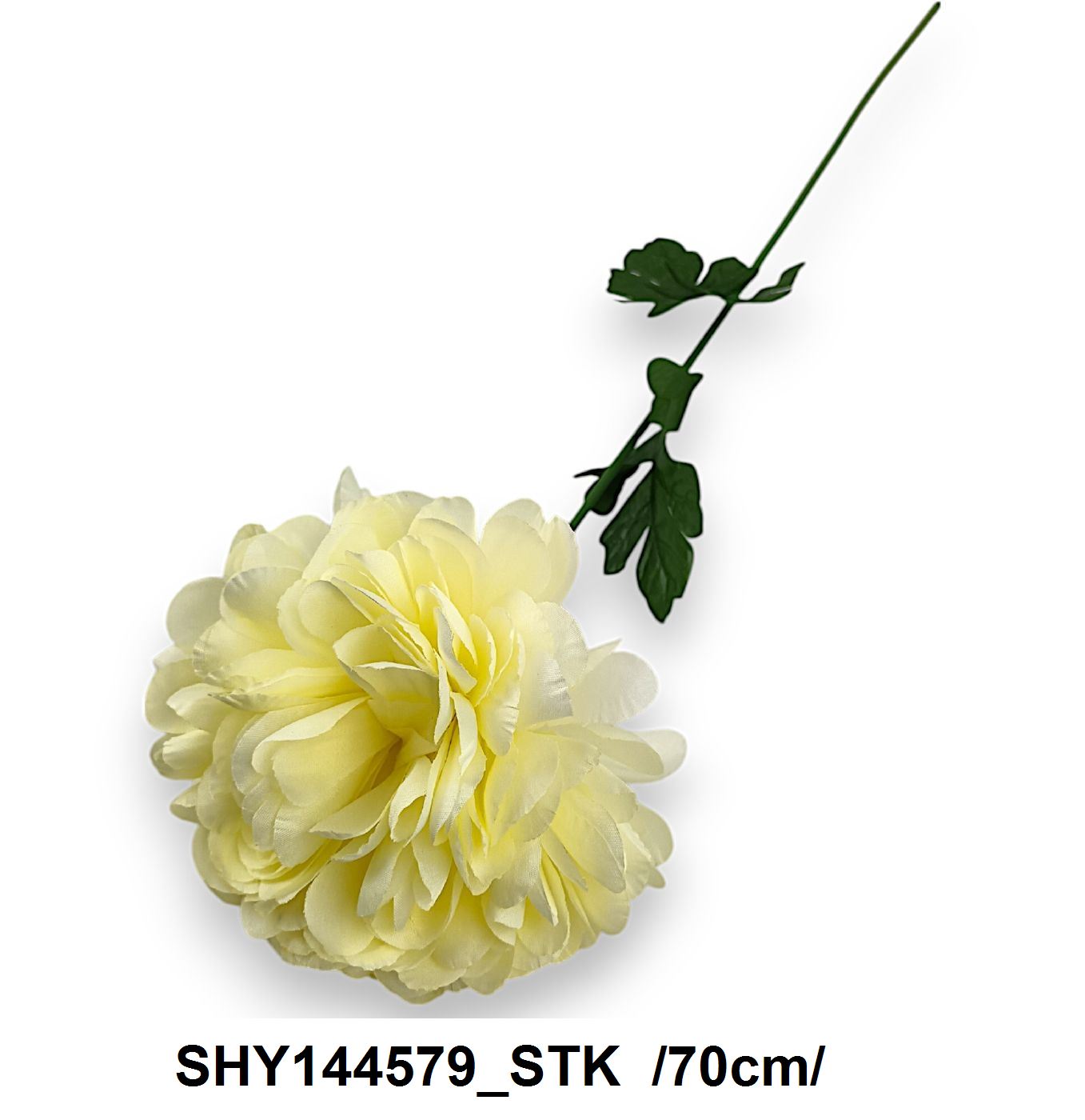 SHY144579_STK