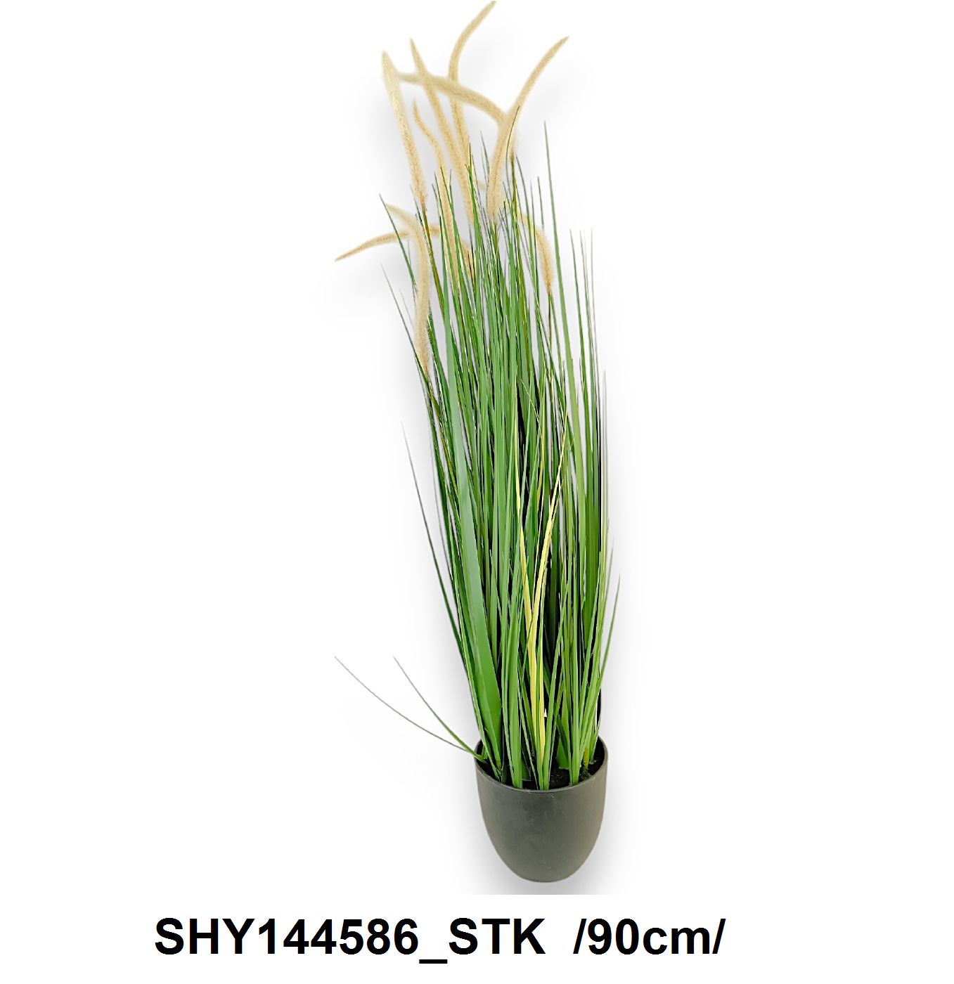 SHY144586_STK