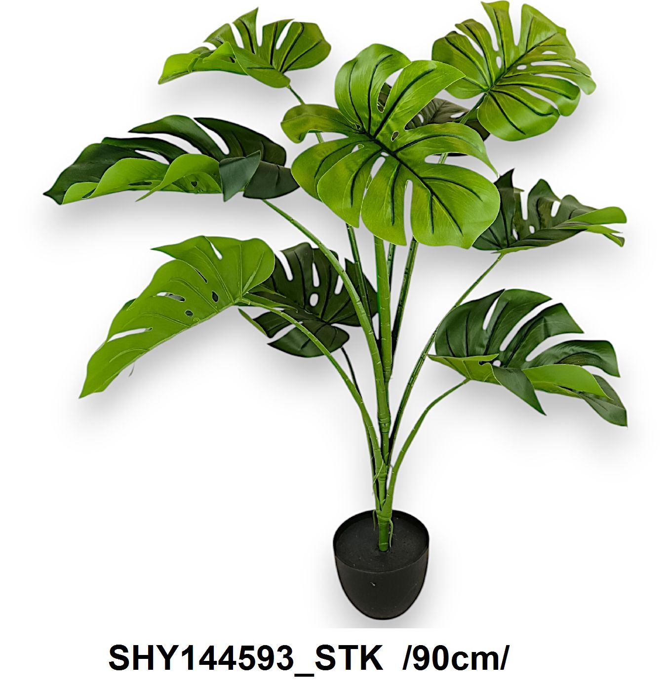 SHY144593_STK