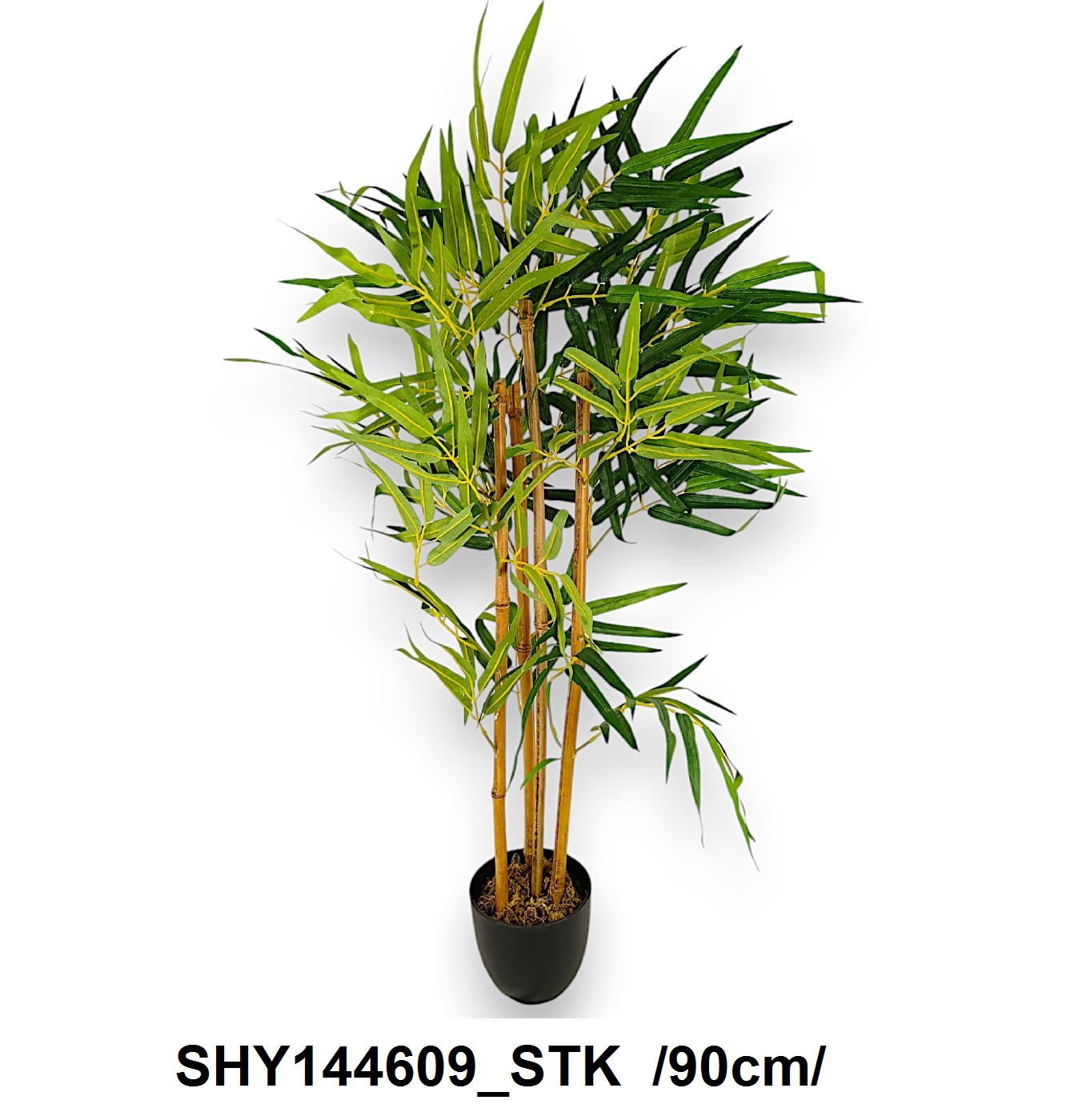 SHY144609_STK
