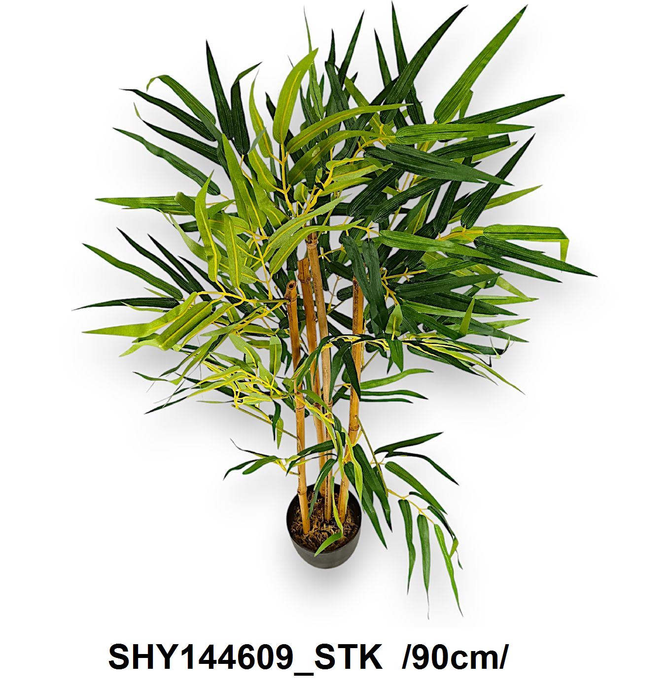 SHY144609_STK