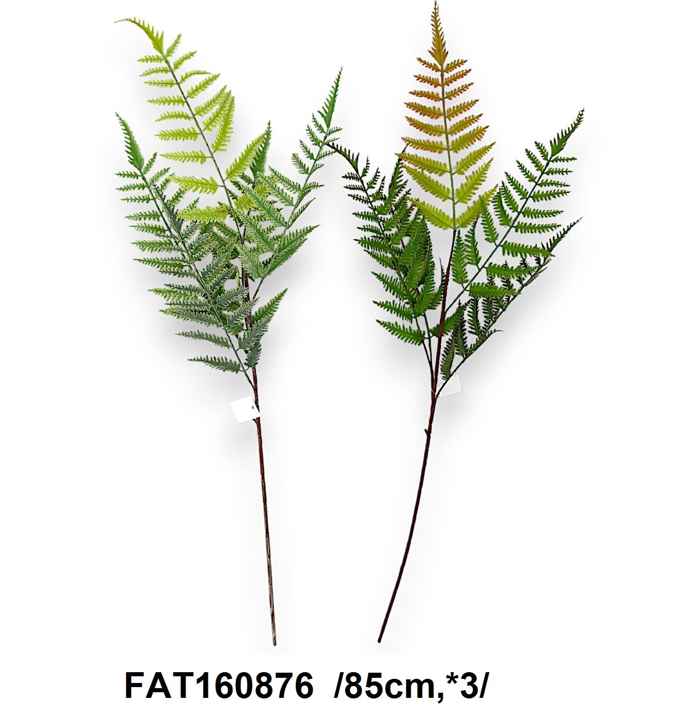 FAT160876