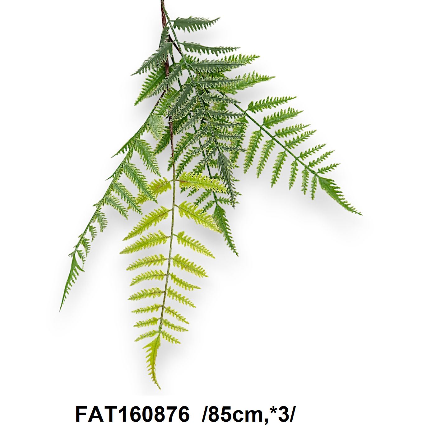 FAT160876