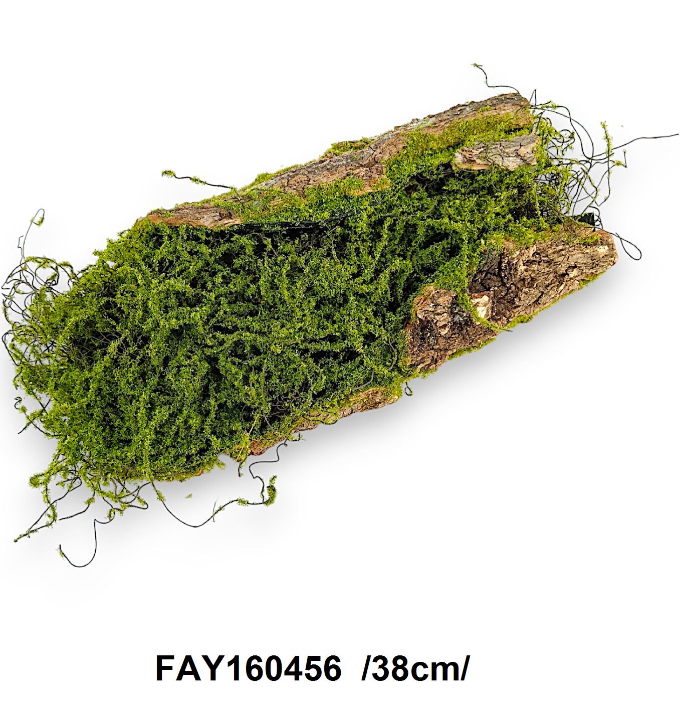 FAY160456