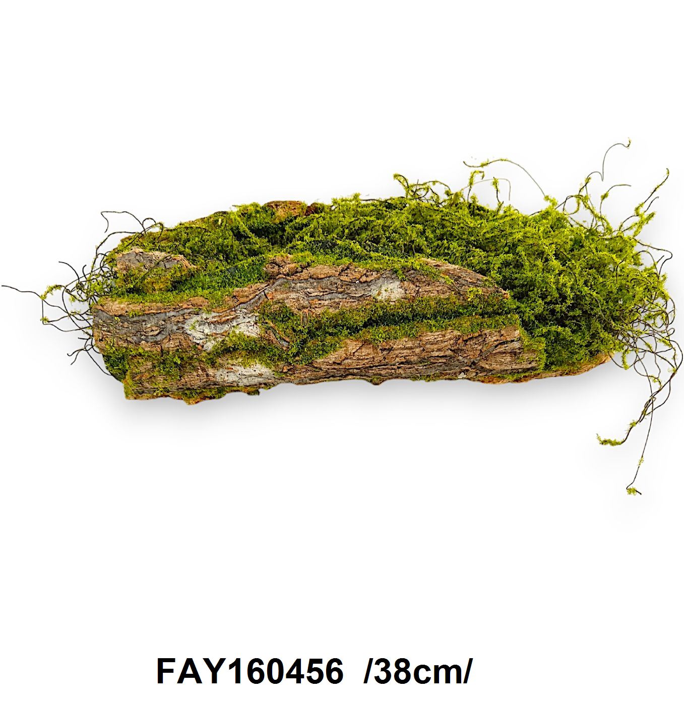 FAY160456